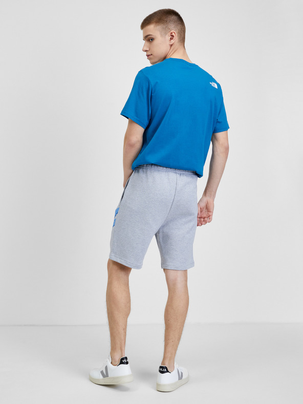 Lacoste Pantalón Corto Gris