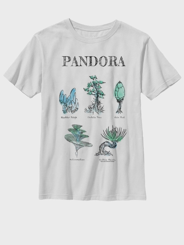 Дрехи > Тениски и потници > Тениски с къси ръкави ZOOT.Fan Twentieth Century Fox Pandora Flora Sketches Тениска детски Byal