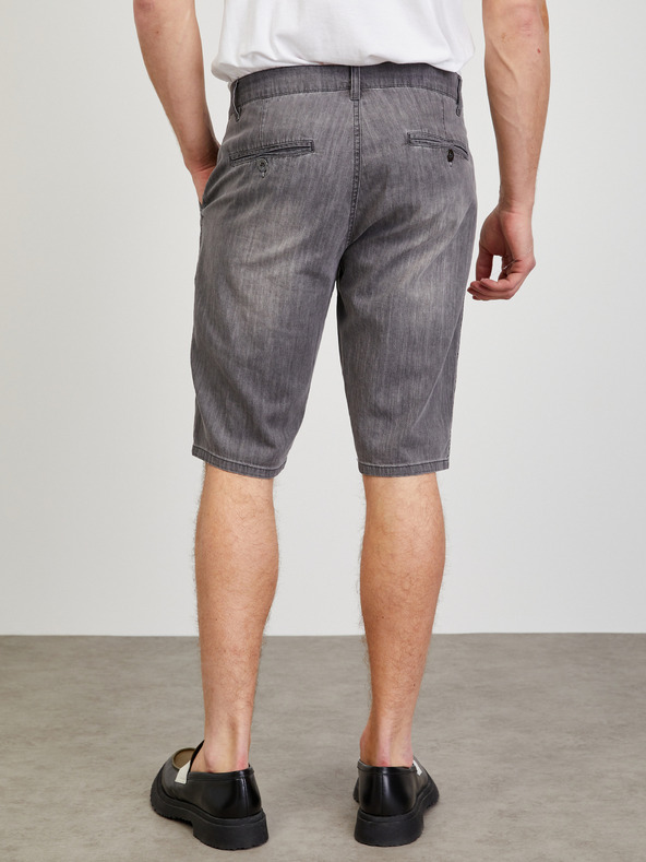 ZOOT.lab Dax Short Pants Gris