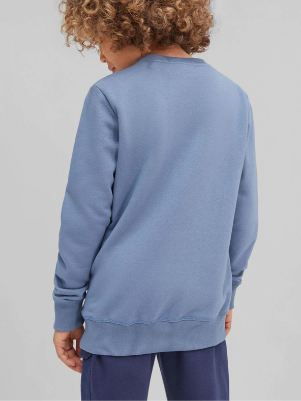 O'Neill Circle Surfer Kids Sweatshirt Azul