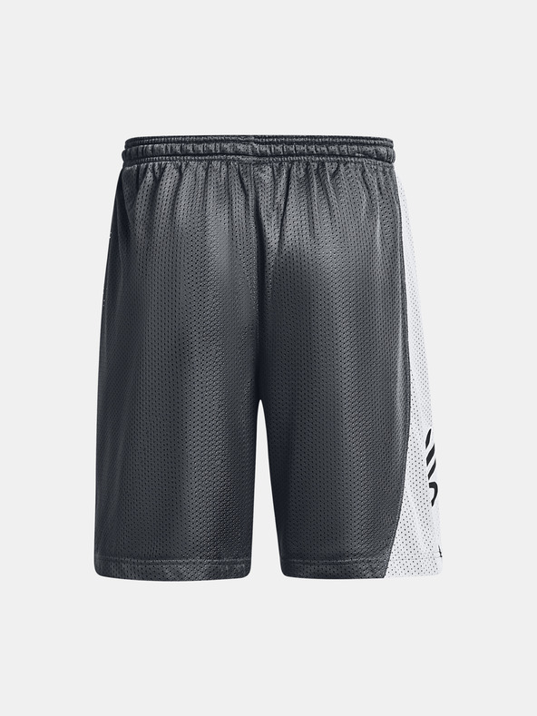 Under Armour Curry Splash 9'' Short Pants Gris