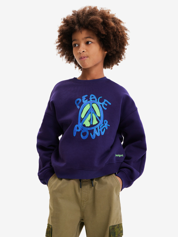 Desigual Arthur Children's Sweatshirt Azul