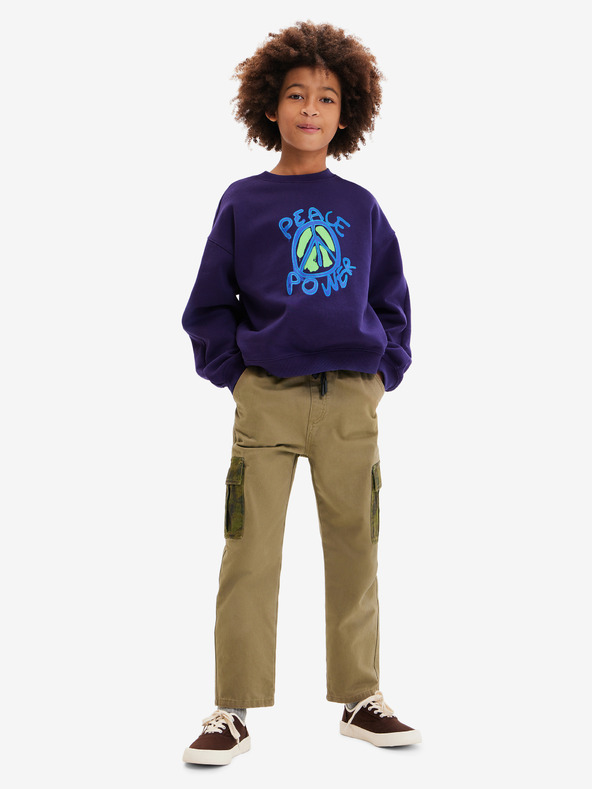 Desigual Arthur Children's Sweatshirt Azul