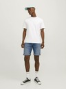 Jack & Jones Rick Kraťasy